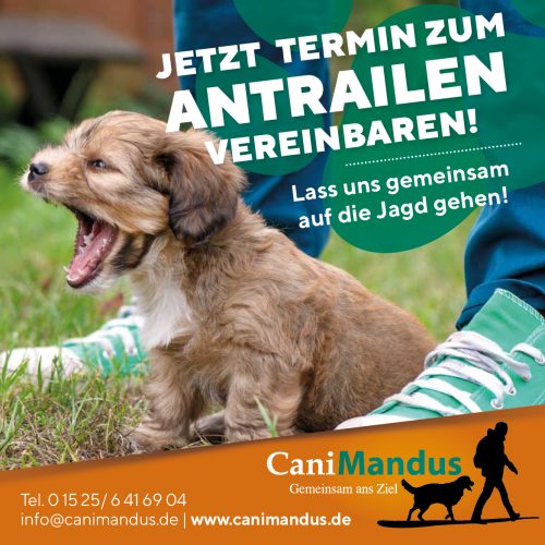 CaniMandus-Hundtraining-2023-Jetzt Antrailen