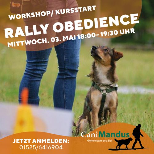 FB-Rally Obedience