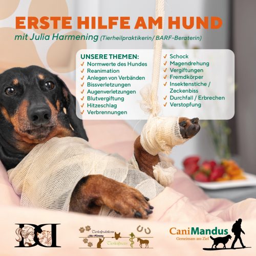 Facebook-Post-CaniMandus-Erste Hilfe am Hund-07.03.2023-neu
